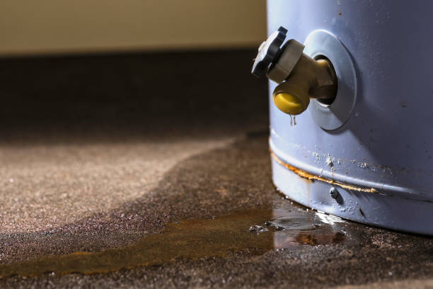 Best Mold removal after water damage  in Trappe, PA
