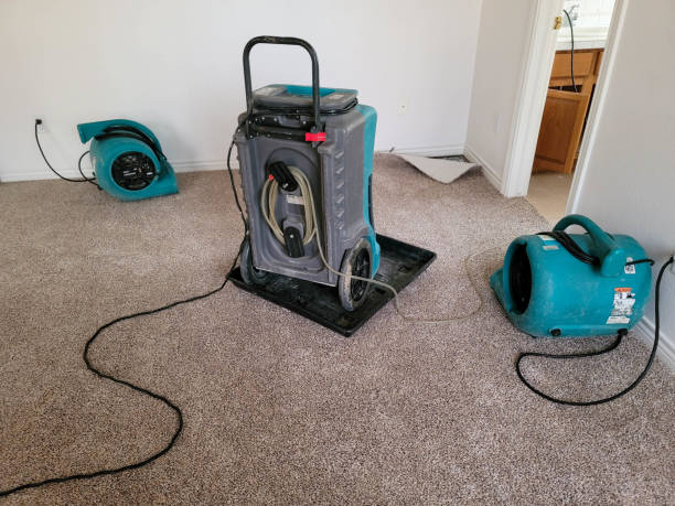 Carpet water damage restoration in Trappe, PA