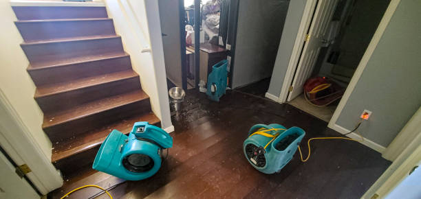 Best Water damage restoration specialists  in Trappe, PA