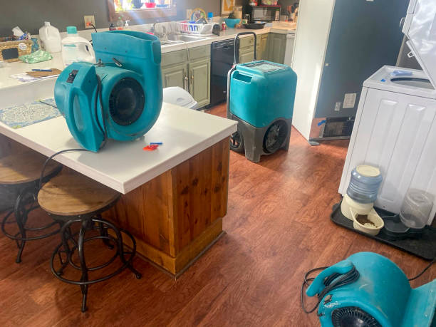 Professional Water damage restoration in Trappe, PA
