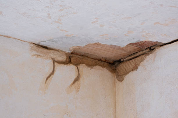 Best Commercial water damage restoration  in Trappe, PA