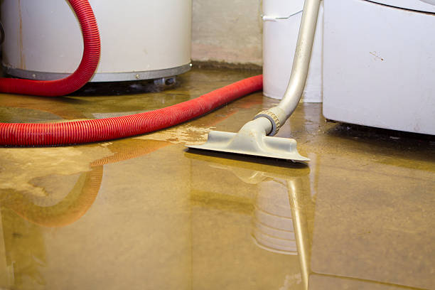 Best Basement water damage restoration  in Trappe, PA
