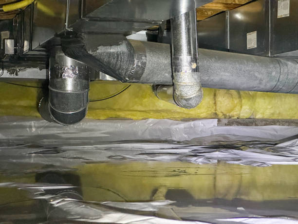 Best Flood restoration services  in Trappe, PA