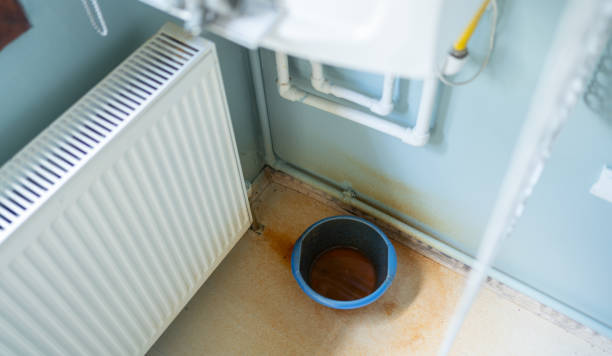 Best Ceiling water damage repair  in Trappe, PA