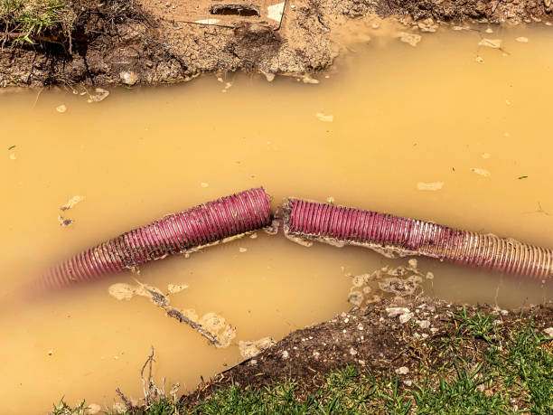 Best Water damage restoration company  in Trappe, PA