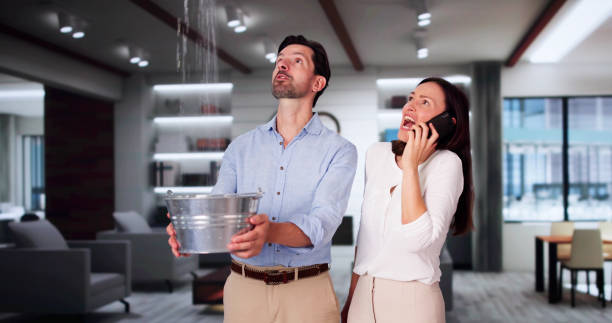 Best Professional water damage repair  in Trappe, PA